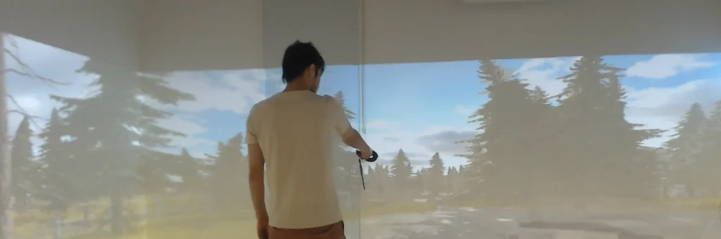 Immersive Projection Rooms